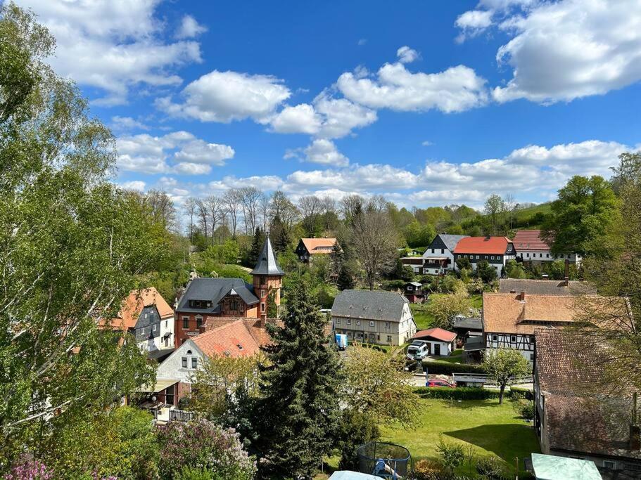 Ferienwohnung Sprejnik - Residenz Sonnenhuebel Grossschoenau Ngoại thất bức ảnh